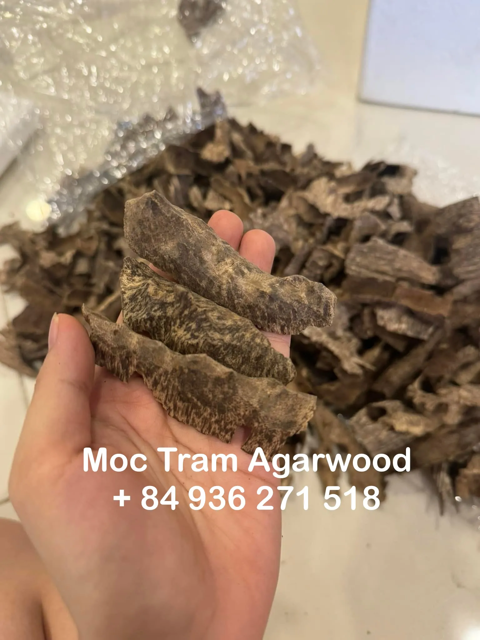 Premium Drilled Agarwood Chips – High-Grade Vietnamese Oud (Plantation Cultivated)